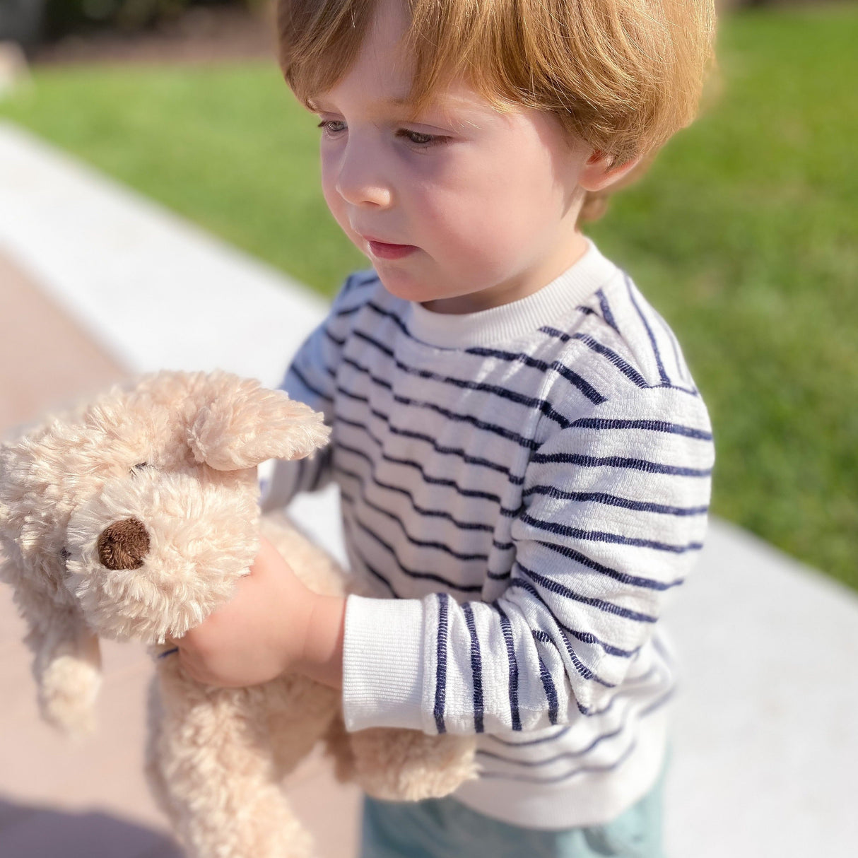 'Bentley' Goldendoodle Plush Toy - HoneyBug