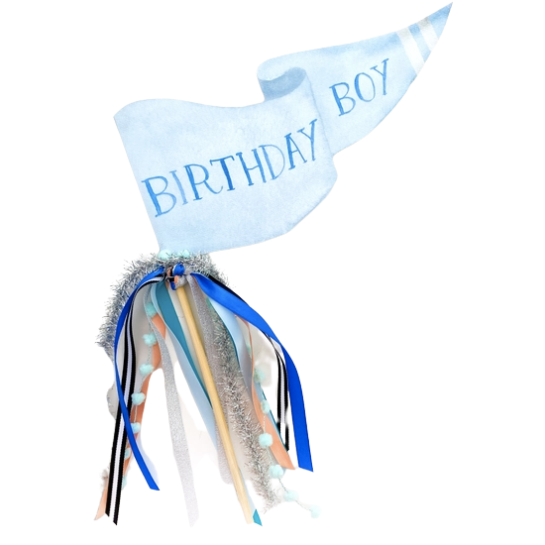Birthday Boy Party Pennant - HoneyBug