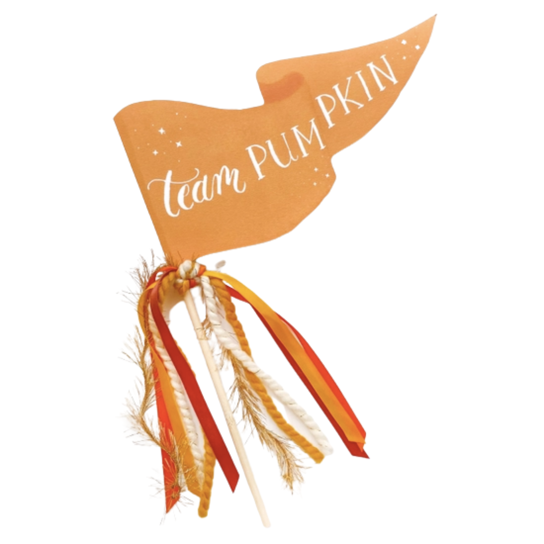 Team Pumpkin Party Pennant - HoneyBug