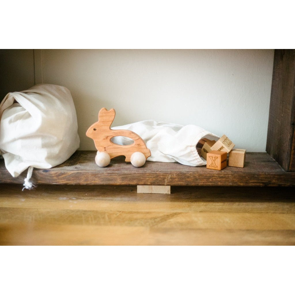 Bunny Push Toy - HoneyBug