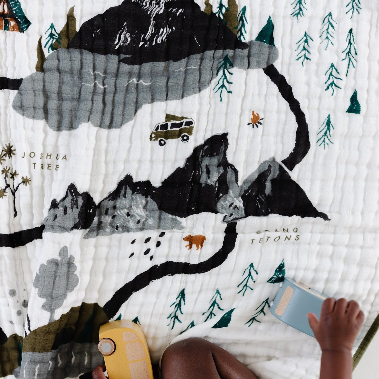 National Parks Quilt - HoneyBug