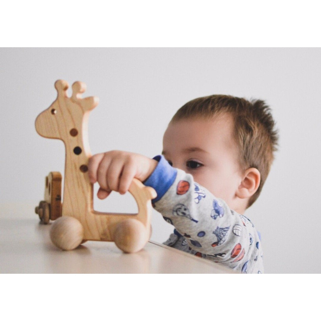 Giraffe Push Toy - HoneyBug