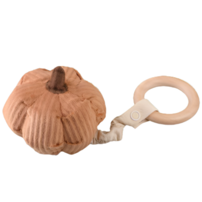 Pumpkin Rattle - HoneyBug 