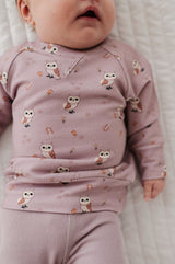 Girl's Raglan Sweatshirt - HoneyBug 