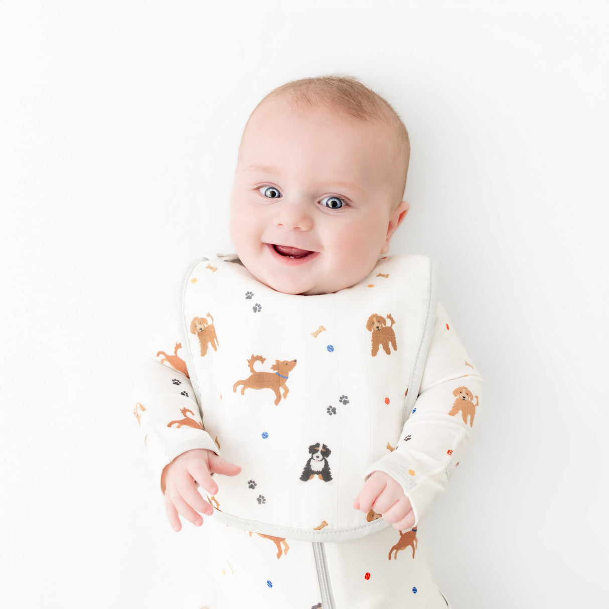 Dogs Bib Set - HoneyBug 