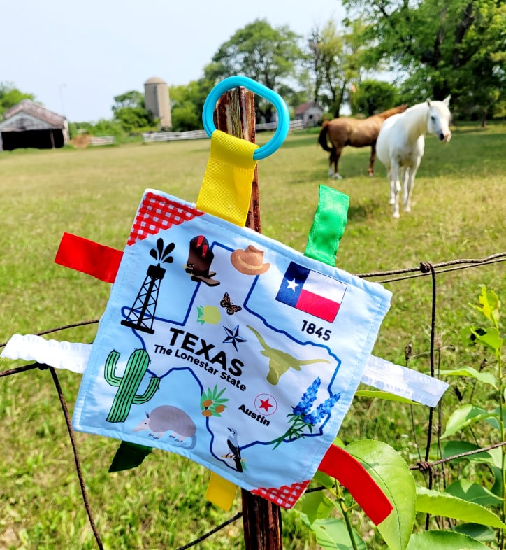 Texas State Tag Toy Crinkle Square That Teaches Facts