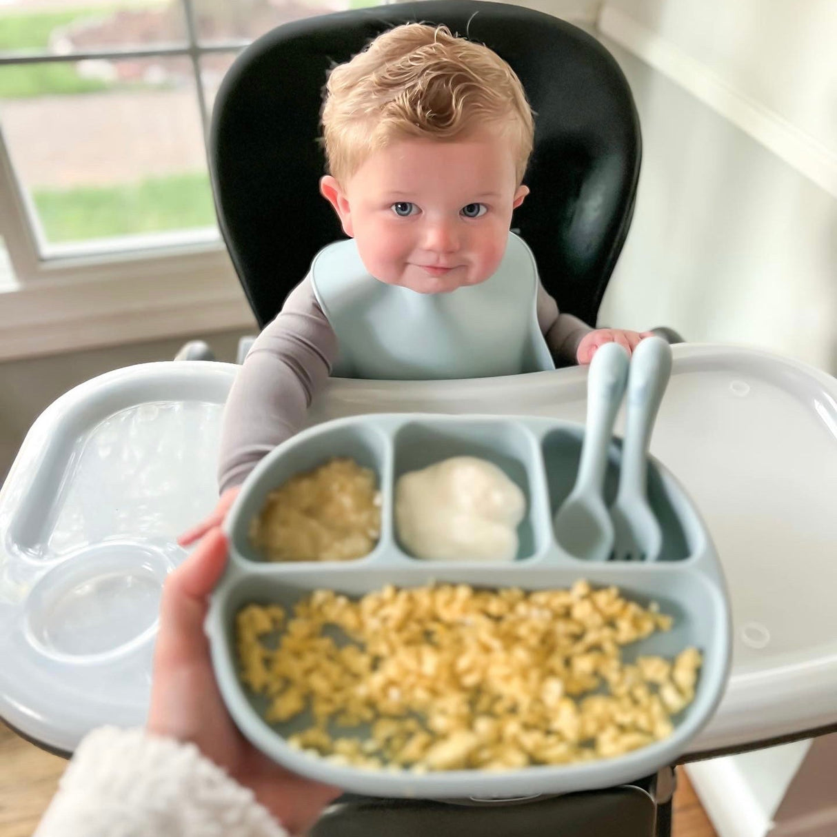 4 Section Suction Plate