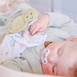 Turtle Organic Comforter - HoneyBug 