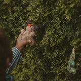 Rudolph Ornament