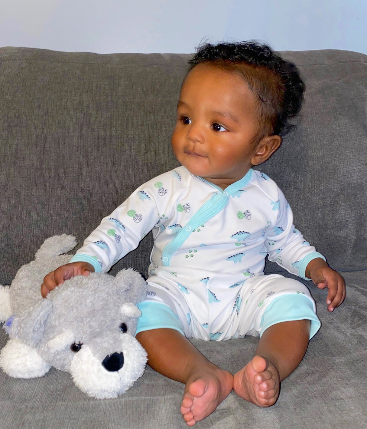Long Sleeve Dino Print Onesie - HoneyBug 