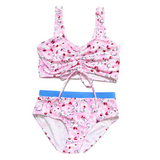 Salton Sea Two Piece Swimsuit - HoneyBug 