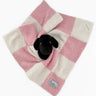 The Calla Lovey