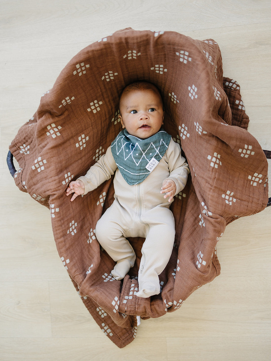 Alpine Muslin Bib