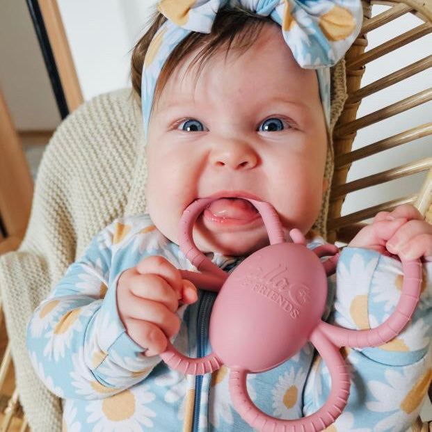 Garden Party Collection - Butterfly Rattle Teether