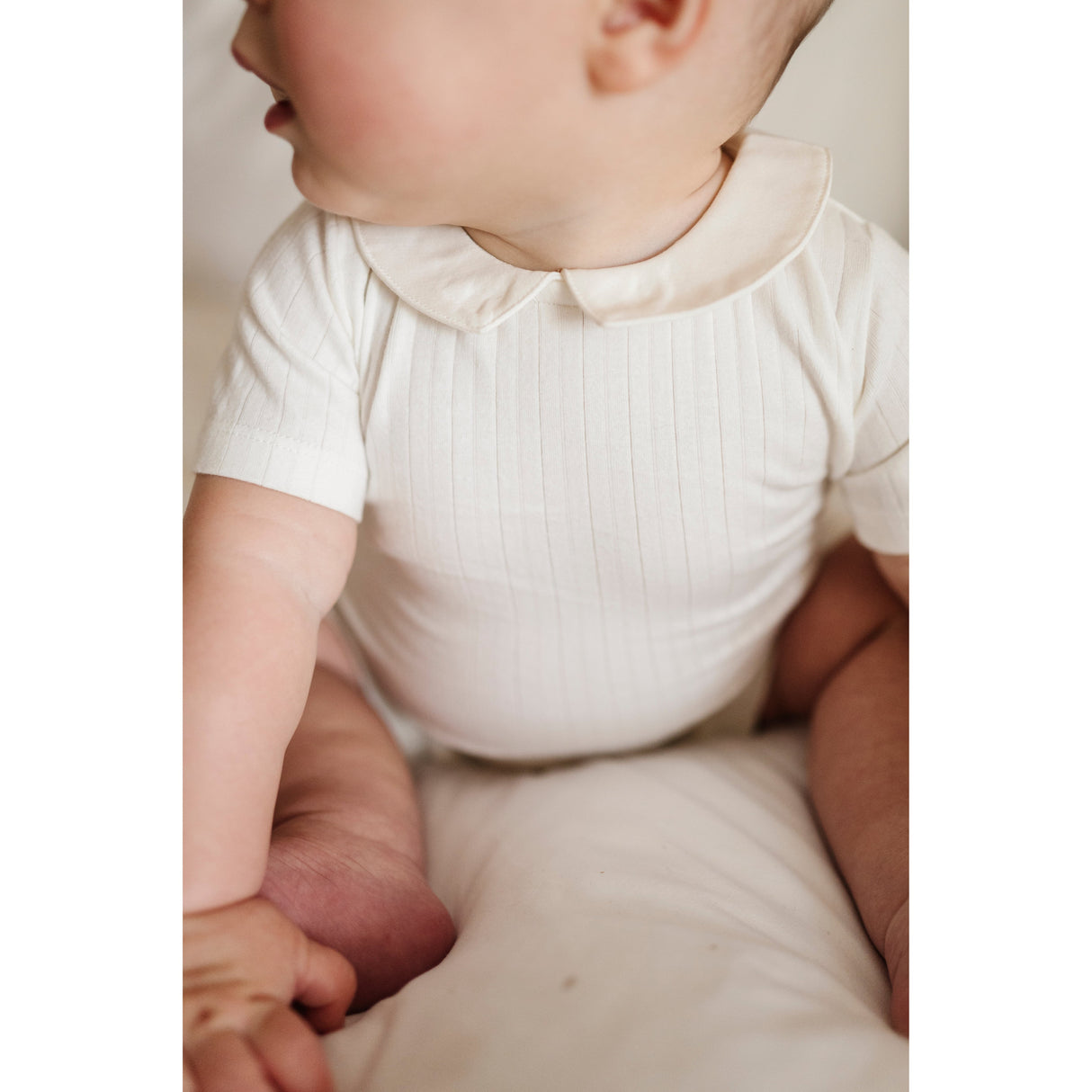 Wide Rib Cotton - Rosebud Collection- Boy Romper - HoneyBug 