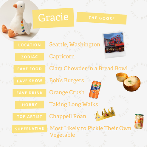 Sweetie Snuggles™ Plush - Gracie the Goose - HoneyBug 