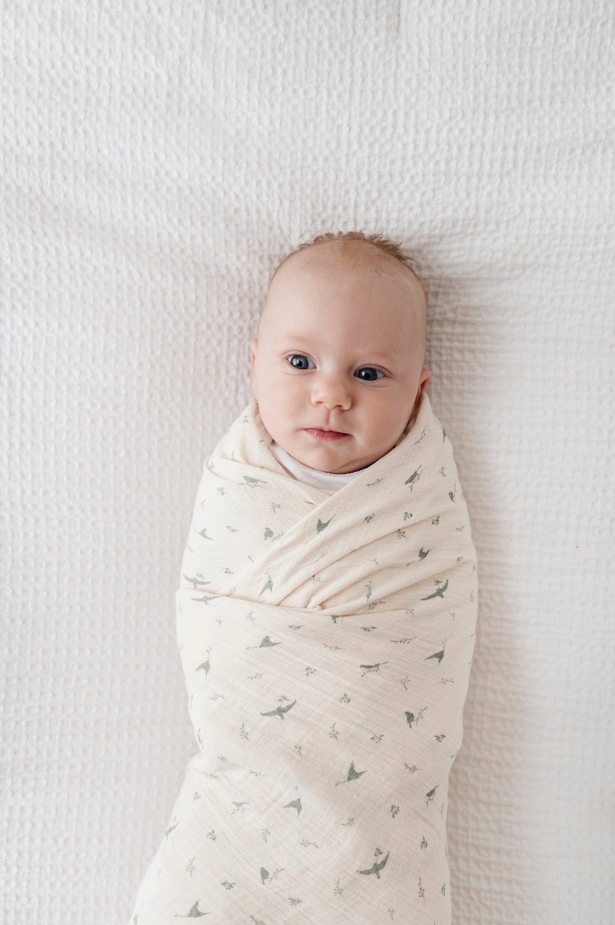 Cotton Muslin Swaddle Blanket - Sage Bird