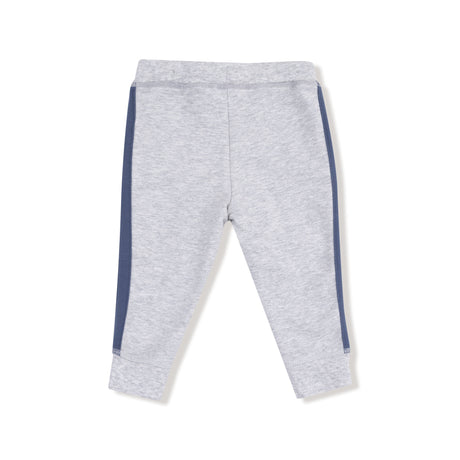 Jogger with Varsity Stripes - Varsity Light Grey - HoneyBug 