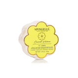 Daisy Spongette Assorted Pack - HoneyBug 