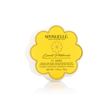 Daisy Spongette Assorted Pack - HoneyBug 