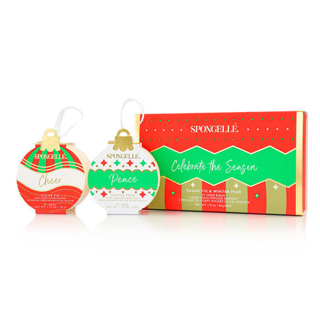 Celebrate the Season | Holiday Ornament Gift Set - HoneyBug 