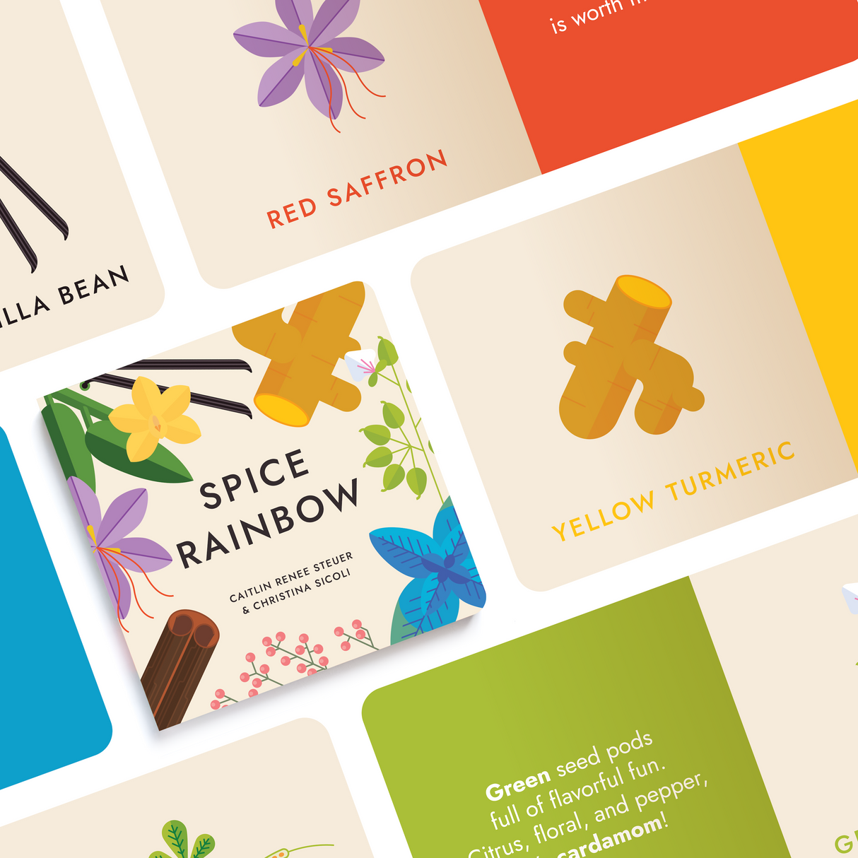 Spice Rainbow Board Book