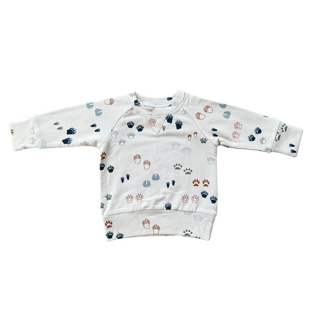 Boy's Raglan Sweatshirt - HoneyBug 