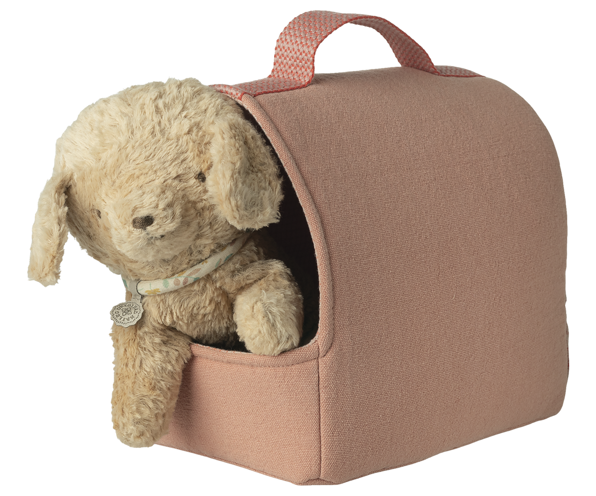 Pet Carrier - Coral