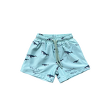 Boy's Swim Shorts