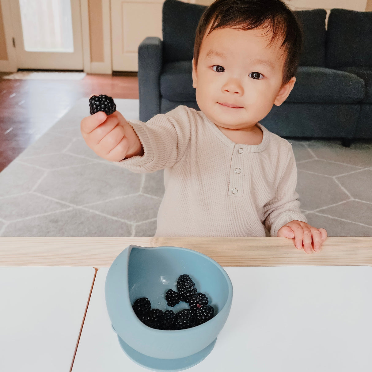 Easy Scoop Suction Bowl