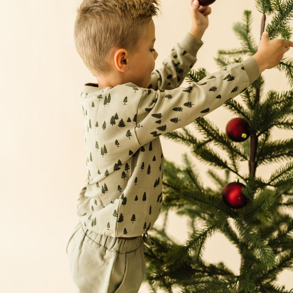 Organic Fleece Sweatshirt - Alpine - HoneyBug 