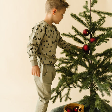 Organic Fleece Sweatshirt - Alpine - HoneyBug 