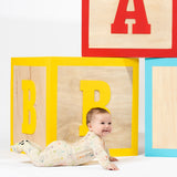 Dino ABC Bamboo Convertible Footie - HoneyBug 