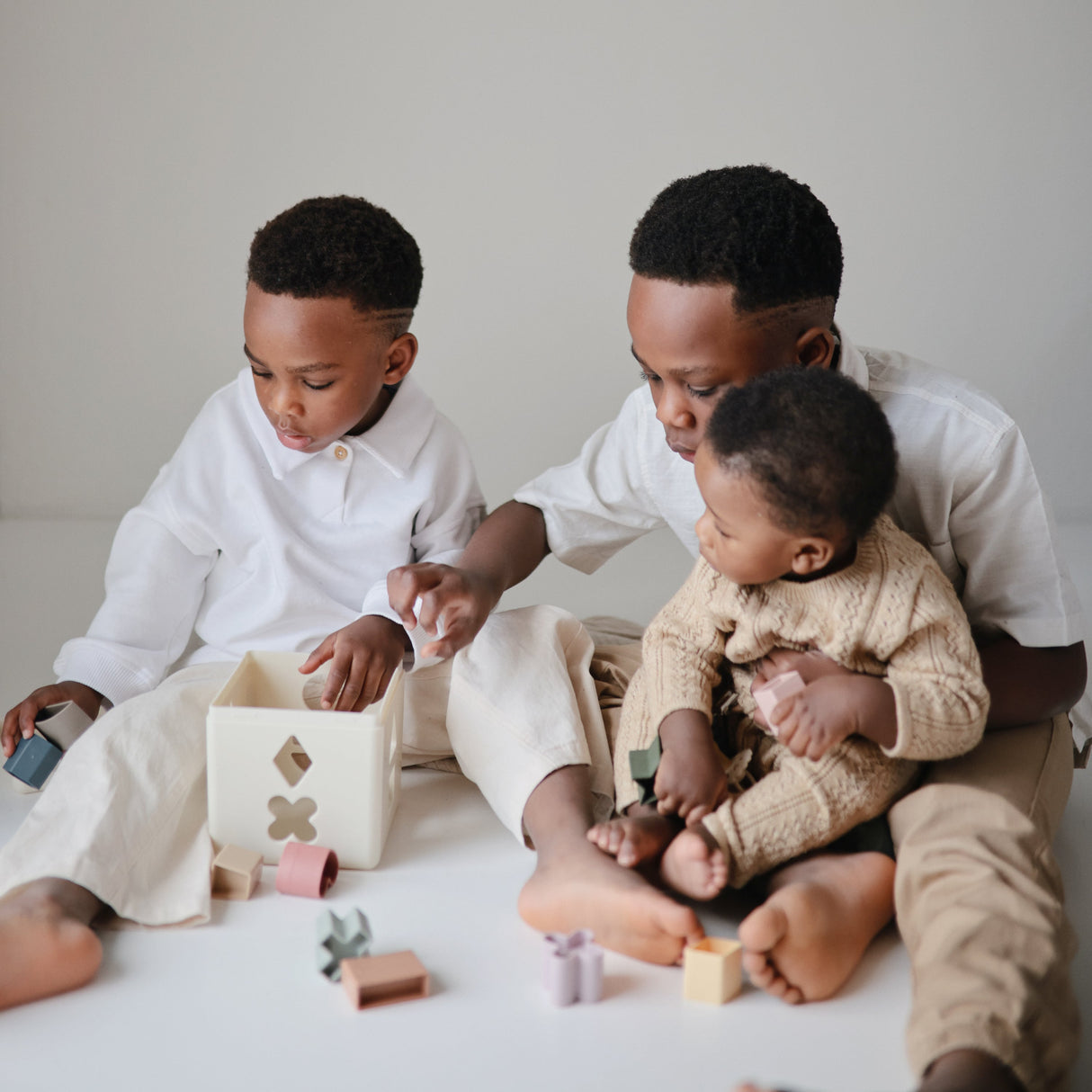 Shape Sorting Box - HoneyBug 