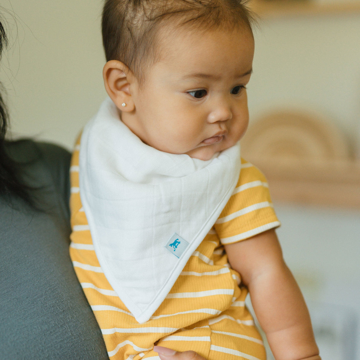Cotton Muslin + Fleece Bandana Bib 4 Pack - Woof - HoneyBug 