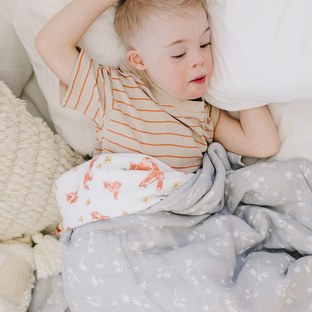 Fox Tales + Prairie Oh So Soft Snuggle Blanket - HoneyBug 