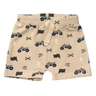 Harem Shorts