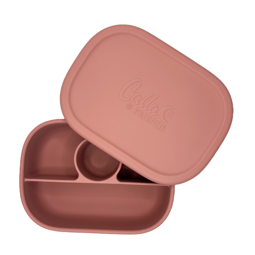 Hayden Bento Box - Petunia Pink