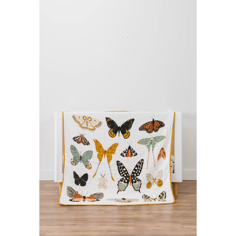 Butterfly Collector Quilt - HoneyBug 