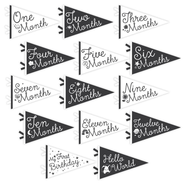 Little Stargazer Petit Milestone Pennants - HoneyBug 