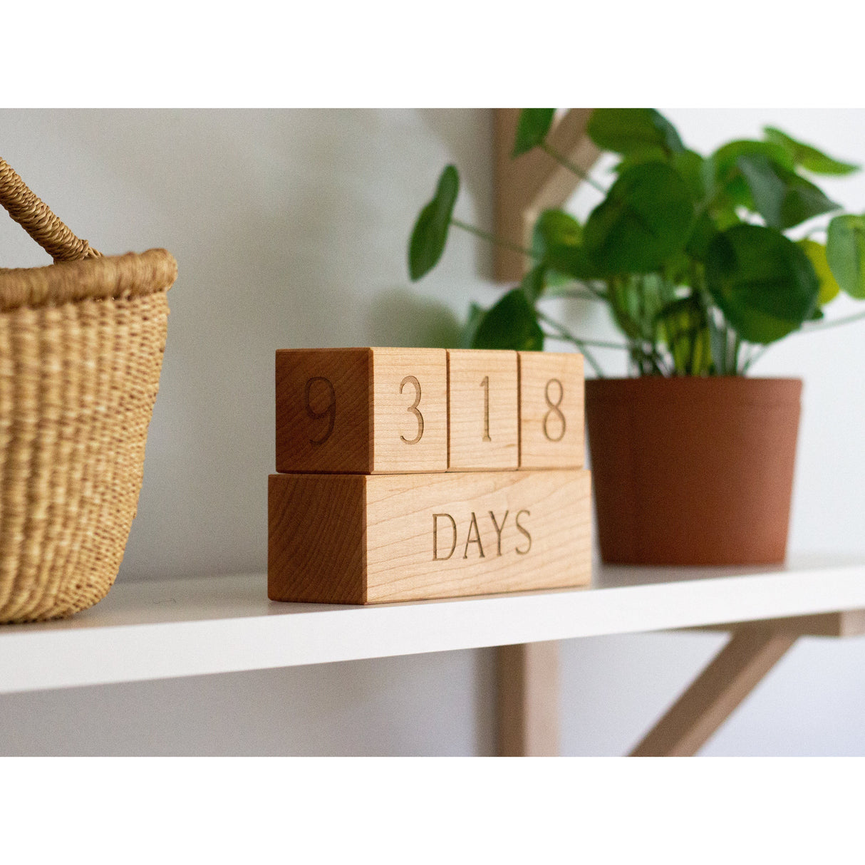 Modern Wooden Milestone Blocks - HoneyBug 