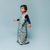 One & Done Sleep Sack - Cars