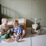 Wooden Magnetic Rainbow Maze