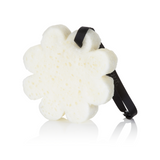 Sweet Patchouli | Boxed Flower - HoneyBug 