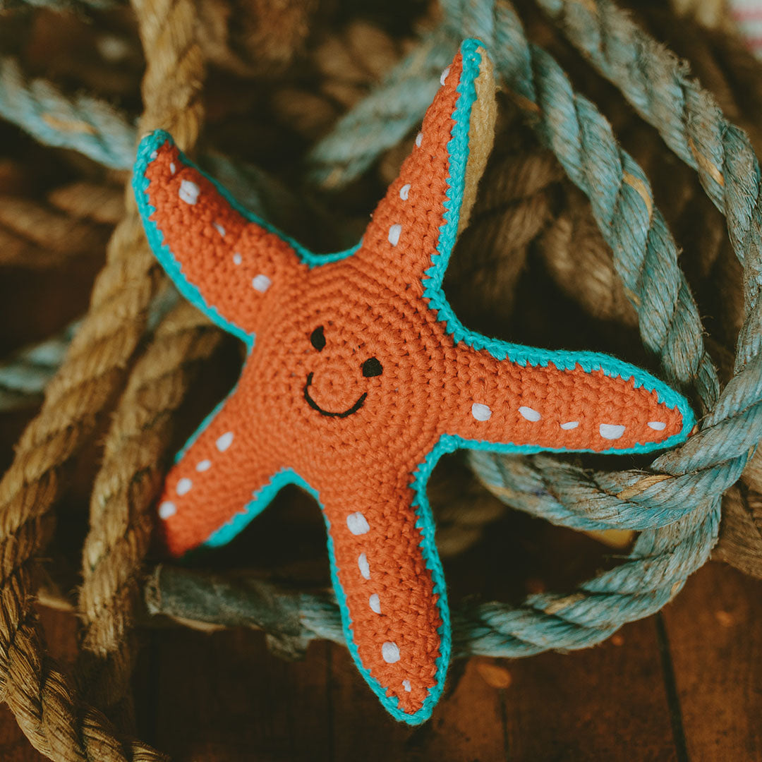 Starfish Rattle