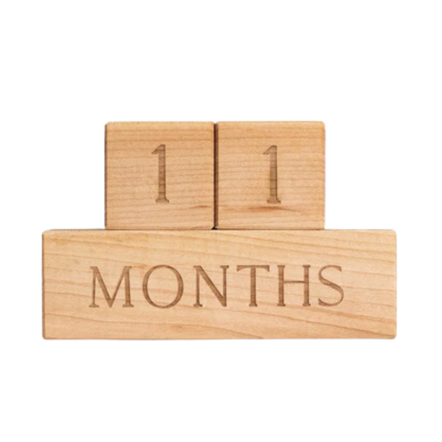 Modern Wooden Milestone Blocks - HoneyBug 