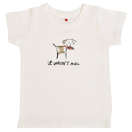 graphic tee | wasn't me - HoneyBug 