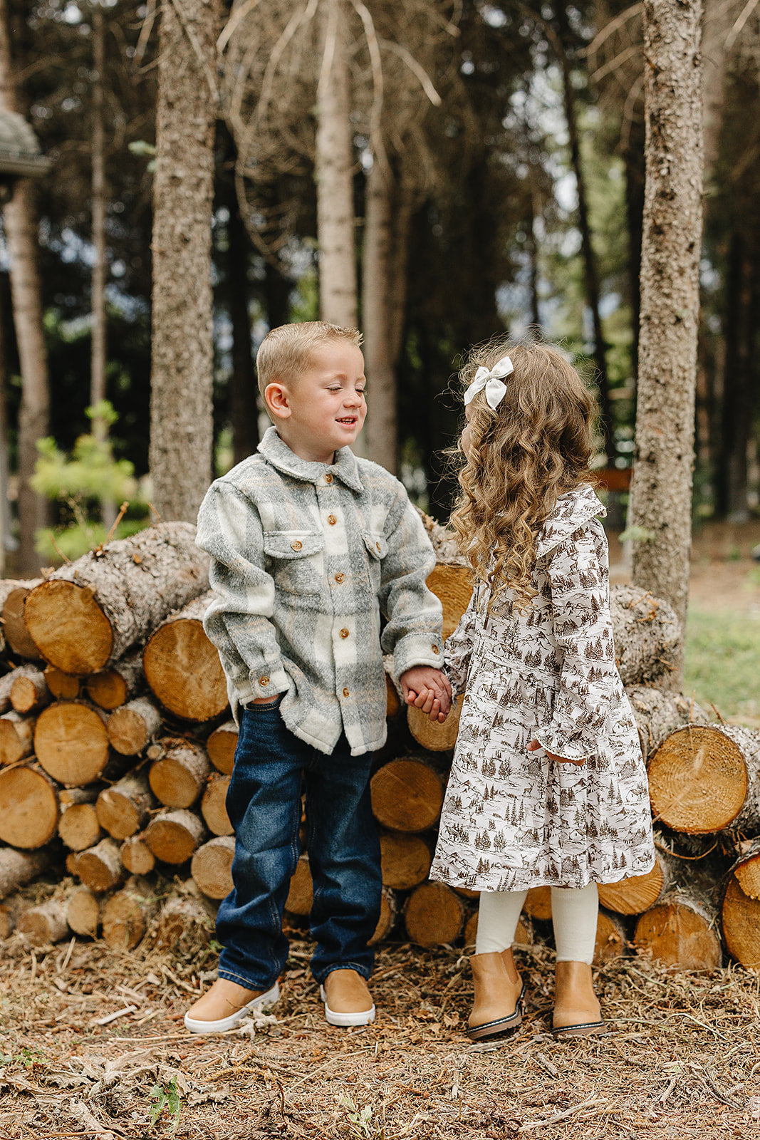 Brown Toile Dress - HoneyBug 