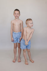 Light Blue Gingham Swim Shorts