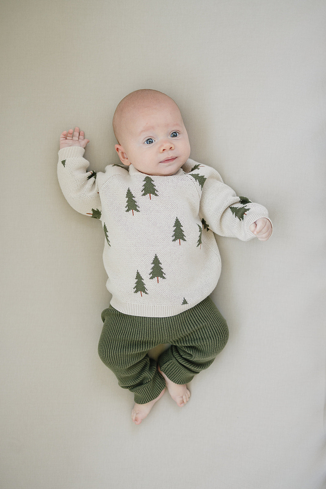 Pine Tree Knit Sweater - HoneyBug 